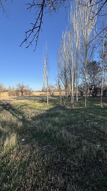 Продажа дач: Срочно продаю участок 26 соток вместе с домом Кара балта — 3