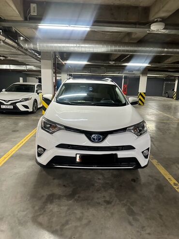 кофр на крышу автомобиля: Белый гибридный внедорожник Toyota RAV4 с заметным синим логотипом