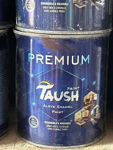 Эмаль: Краска-эмаль Taush Premium Alkyd Enamel Paint - Тип: алкидная эмаль — 1