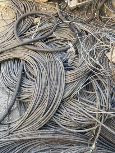 нержавейка бочка для молока: Болот