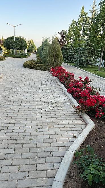 Посуточная аренда квартир: Сдается 2 ком квартира. Иссык- Куль Карвен 4 Сезона. Площадь 70м* — 15
