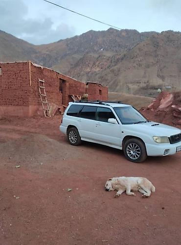 купить drift car: Subaru Forester: 2001 г., Универсал — 3