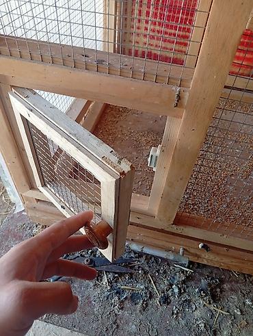 qus xana: Taxta quş qəfəsi/volyer - Material: möhkəm taxta karkas, xırda gözlü — 3