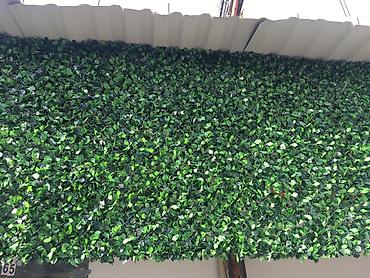 Bağ və bostan üçün digər məhsullar: Yaşıl arakəsmə. Türkiyə istehsalı paslanmayan ikiqat məftil və dörd — 4