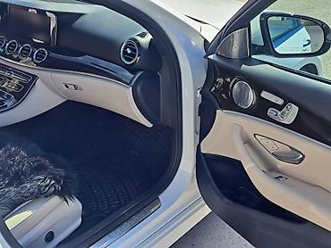Mercedes-Benz: Mercedes-Benz E-Class: 2 l | 2019 il Sedan — 13
