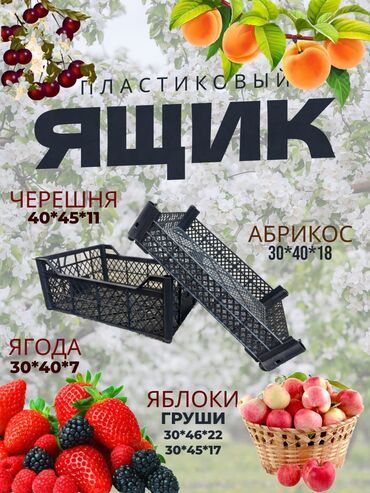 ящик инструментов: Пластиковый Ящик, Новый