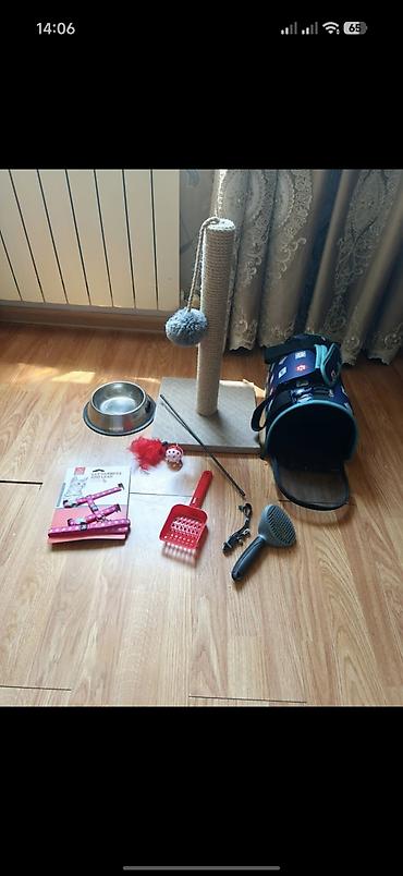 husky sekilleri: Pişik üçün tam aksesuar dəsti Dəst daxilində: - Qapalı pişik tualeti — 2