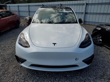 машина электирик: Tesla