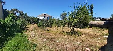 ev ve torpaq: 14 sot, Tikinti, Mülkiyyətçi, Kupça (Çıxarış) — 4
