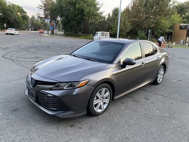 тайота хонда: Toyota Camry: 2020 г., 2.5 л, Типтроник, Гибрид, Седан