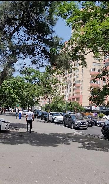 xirdalan ev kiraye: H.Zərdabi pr.-də 3 korona ilə üzbəüz zərzəmi icarəyə verilir — 6