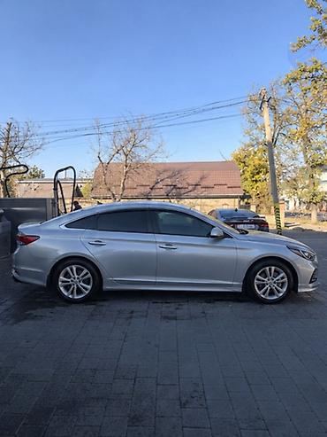 byd dolphin 2023: Hyundai Sonata: 2019 г., 2 л, Автомат, Газ, Седан — 2