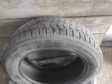 зимний шины р14: Шины R 17, Зимняя шипованная, Б/у, Япония, Dunlop
