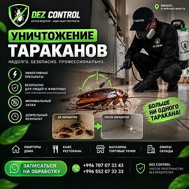 Дезинфекция, дезинсекция: Дезинфекция, дезинсекция, | Клопы, Блохи, Тараканы, | Офисы, Квартиры, Дома — 1