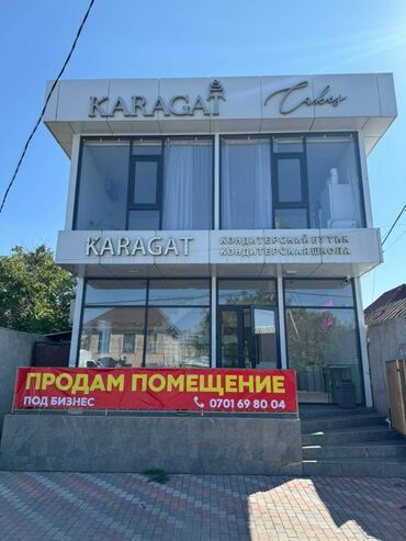 Продажа квартир: Продаю Здание, Действующий 240 м²