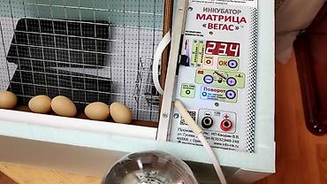 все для инкубатора: Инкубатор Матрица “ВЕГАС” – Инкубатор предназначен для вывода — 3
