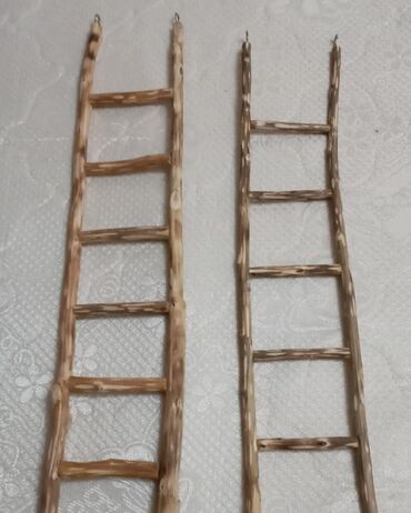 Oyuncaqlar: Taxta qəfəs aksesuarları zoo alemi üçün tebii budaqdan hazirlanir - -da lalafo.az — 8 Oyuncaqlar: Taxta qəfəs aksesuarları zoo alemi üçün tebii budaqdan hazirlanir - — 8