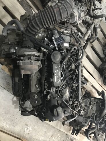 Sbor motorlar və silindr başlıqları: Hyundai Kia 2010/2023 üstən cixma orginal ehtiyat hisələri istənilən -da lalafo.az — 6 Sbor motorlar və silindr başlıqları: Hyundai Kia 2010/2023 üstən cixma orginal ehtiyat hisələri istənilən — 6