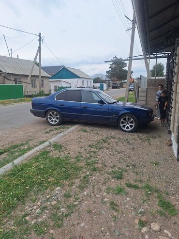 куплю машин: BMW 5 series: 1993 г., 2.5 л, Механика, Бензин, Седан