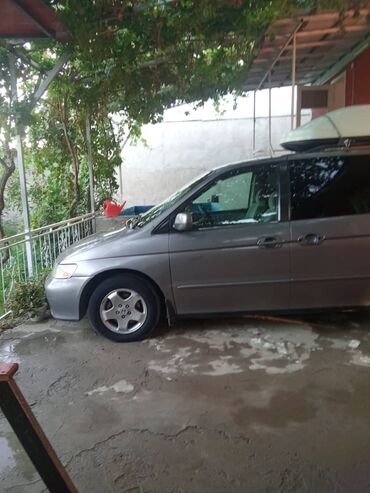 одиссей гофра: Honda Odyssey: 2001 г., 3.5 л, Автомат, Бензин, Вэн/Минивэн
