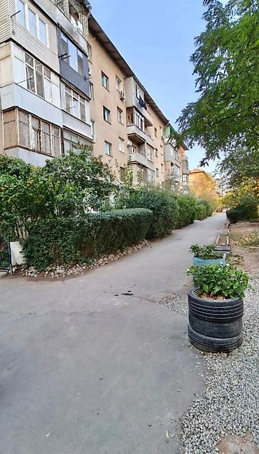 адмираль: 2 комнаты, 48 м², Политех Индивидуалка, 3 этаж — 10