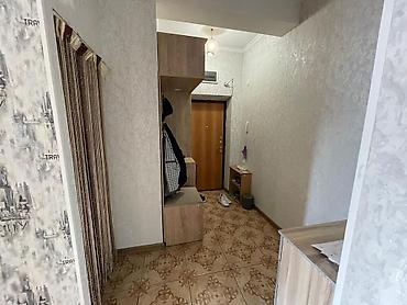 Долгосрочная аренда квартир: 2 комнаты, Агентство недвижимости — 5