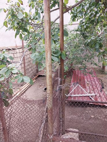 Torpaq sahələrinin satışı: 65 sot, Tikinti, Makler, Kupça (Çıxarış) — 4