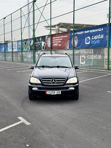 4matic: Mercedes-Benz M-Class: 2003 г., 4 л, Автомат, Дизель, Кроссовер — 3
