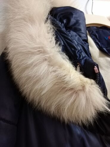 Kurtkalar: 9-10 yawa ÇİNİCI-den baha alinib — 11