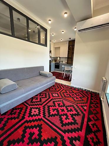 Продажа квартир: 2 комнаты, 45 м², Ала-Арча ТРЦ Элитка, 12 этаж, Евроремонт — 24