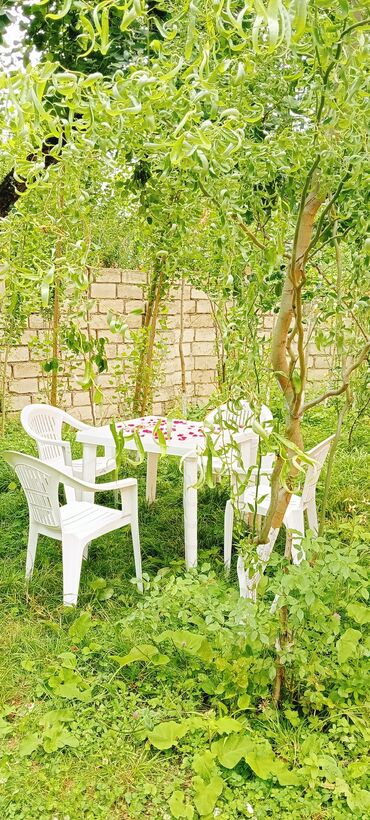 Günlük kirayə evlər: 100 kv. m, 3 otaqlı, İnternet, Telefon, Qaz — 3