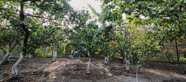 Продажа участков: 10 соток — 12