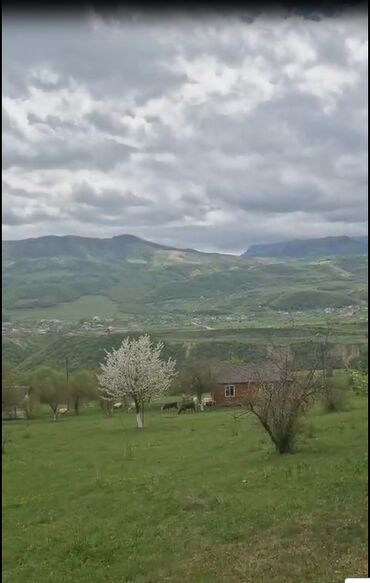 Torpaq sahələrinin satışı: 150 sot, Biznes üçün, Mülkiyyətçi, Kupça (Çıxarış) -da lalafo.az — 7 Torpaq sahələrinin satışı: 150 sot, Biznes üçün, Mülkiyyətçi, Kupça (Çıxarış) — 7