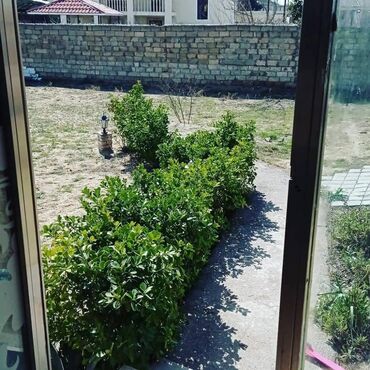 Bağ evlərinin satışı: Bakı, Buzovna, 200 kv. m, 3 otaqlı, Hovuzsuz, Su, Telefon, İşıq — 11
