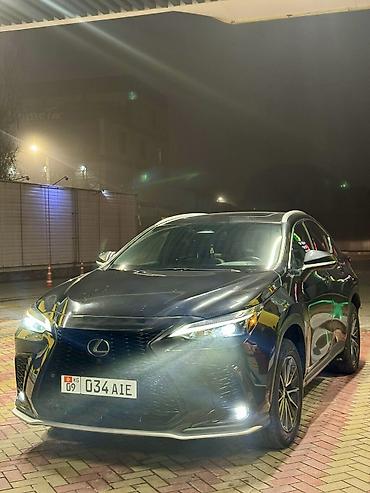 Lexus: Lexus NX: 2023 г., 2.5 л, Автомат, Бензин, Кроссовер — 1