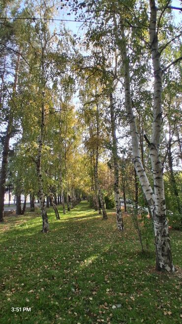 дом на иссык куле купить: 3 бөлмө, 61 кв. м, Жеке план, 4 кабат, Евроремонт