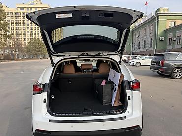 Lexus: Lexus NX: 2017 г., Бензин, Кроссовер — 14