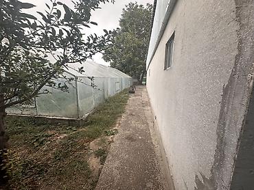 Продажа коттеджей и домов: 3 комнаты, 68 м², 8 соток, Орловка, Собственник — 21