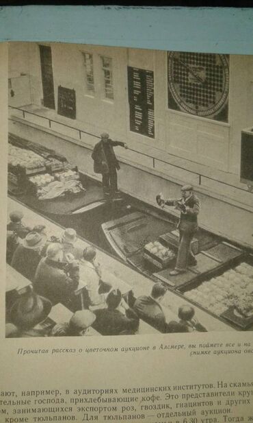 Digər kitablar və jurnallar: Разные книги: "Страна странностей" 40 манат "Стокгольм" 40 манат — 8