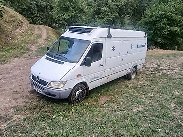 sprinter 2 7: Сдаю рефрижератор Mercedes-Benz Sprinter, Посуточно — 1