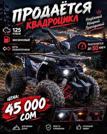 скорый: Квадроцикл 125 кубов, бензиновый. Развивает скорость до 50 км/ч — 1