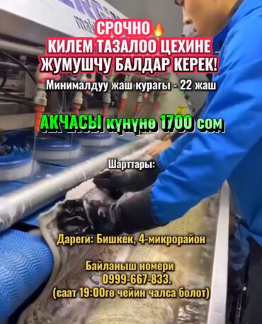 работа в бишкеке разнорабочий: Кызматкер талап кылынат, Толук жумуш күнү, Иш тартиби: Алты күндүк, Төлөм Күнүмдүк