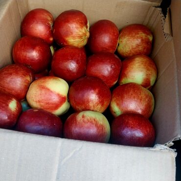 чипсы лейс цена бишкек: Яблоки