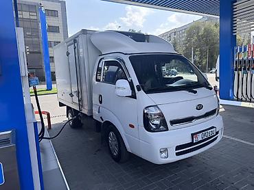 2019: Легкий грузовик, Kia, Стандарт, 3 т, Б/у — 2