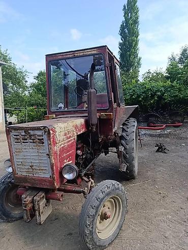 015 maşını: Traktor Belarus (MTZ) T-25 1985 il, 25 at gücü, motor 1.5 l, İşlənmiş — 1