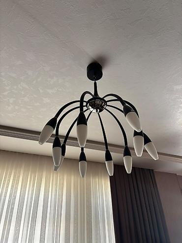 omid cilcıraq: Çılçıraq, 10 və daha çox lampa — 1