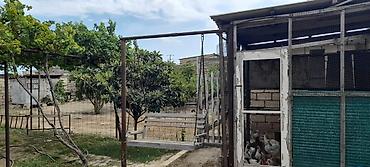qaxda satilan evler: Həyətyanı torpaq sahəsi və quşçuluq üçün hazır infrastruktur - Geniş — 6