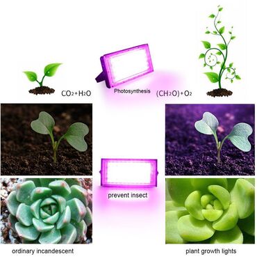 Baštenska rasveta: Led Reflektor Rast Biljki Led Grow Full Spectrum 50w 220v — 2