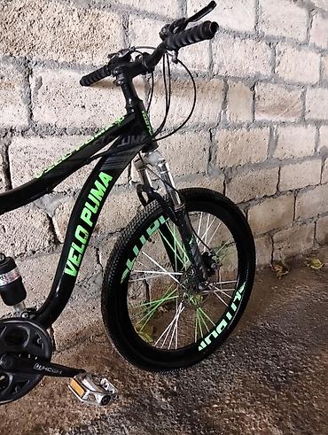 velesiped: Velo PUMA V-800 dağ velosipedi - Çərçivə: amortizatorlu — 4