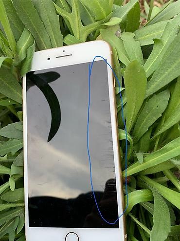 huawei fit 4: IPhone 8 Plus, Б/у, 64 ГБ, Золотой, 73 % — 7